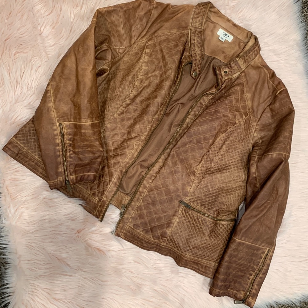 Cato jaket
